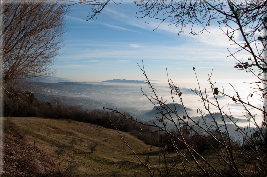 foto Colline di Romano d'Ezzelino nella Nebbia